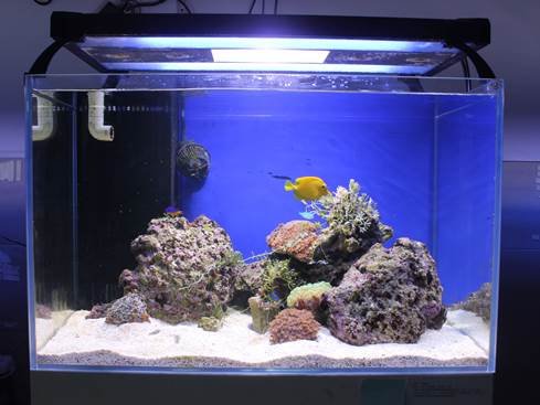 Macintosh HD:Users:zhaisifan:Downloads:评比_1:2深渊幽门.JPG